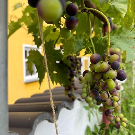 Haus Rheinleben Apartment Boppard Exterior photo